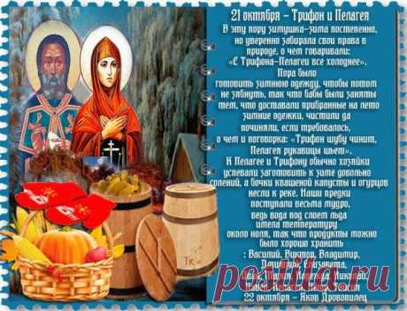 Пелагею раньше звали «голубицей», а Трифона — заступником всех живущих. Пусть и в наши дни они принесут в дома уют, защиту и тишину. С праздником душевного равновесия и Божьего света!
Трифон и Пелагея открытки