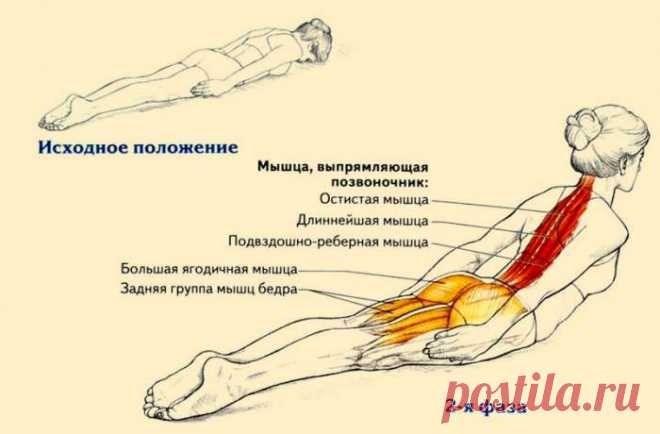 Всего одно упражнение для королевской осанки — ГАРМОНИЯ