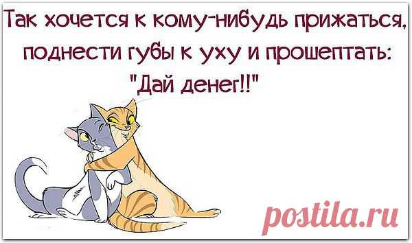 ольга: Молодая, красивая, стройная, нежная, хорошо готовлю, голова не болит… Никого не ищу! Так… Хвастаюсь....)))
