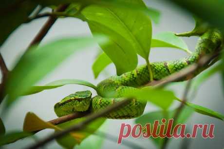BEAUTY OF WILDLIFE