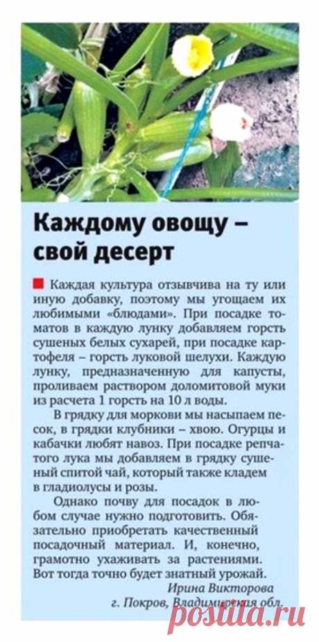Каждому овощу свое удобрение