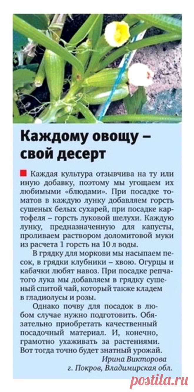Каждому овощу свое удобрение