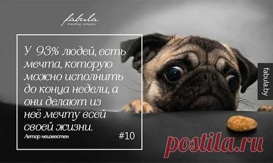 Ответы, которые нам нужны