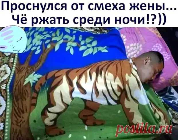 Юмор из интернета 482 - медиаплатформа МирТесен