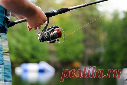 Под Москвой подросток забросил удочку в озеро на рыбалке и попал в больницу. В Подмосковье подросток забросил удочку в озеро во время рыбалки и попал в больницу. Об этом сообщает Telegram-канал «112». По информации авторов канала, 13-летний школьник рыбачил в микрорайоне Востряково в Домодедове. Он, забрасывая удочку в озеро, зацепил леской о провода и получил термический ожог кистей рук.