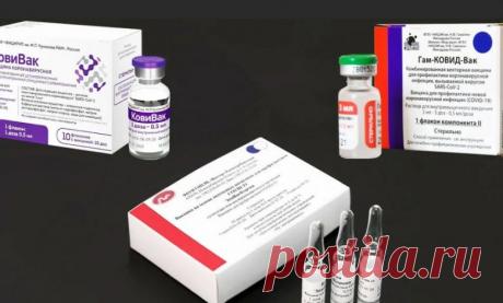 Жителям РФ разъяснили, чем различаются российские вакцины от коронавируса COVID-19