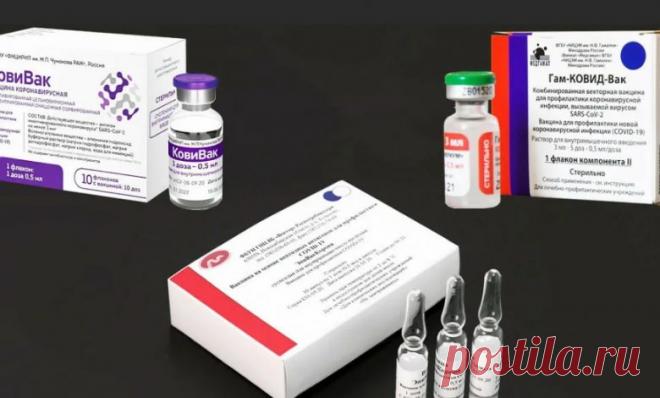 Жителям РФ разъяснили, чем различаются российские вакцины от коронавируса COVID-19