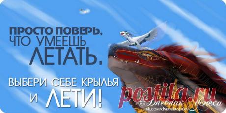 Я работаю на свою мечту...https://evgeshashipilova.wix.com/toplider1
