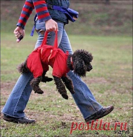 Предлагаю подзаработку в свободное время.