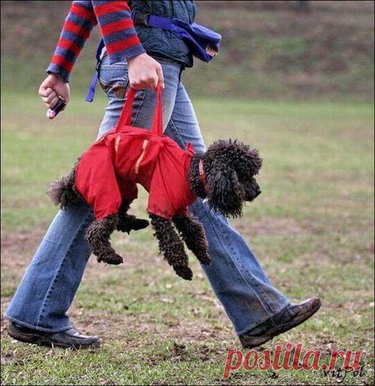 Предлагаю подзаработку в свободное время.
