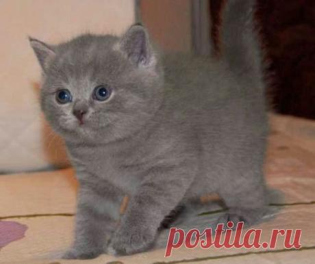 ❃ ПРИКОЛЬЧИКИ ❃
ॐﮩﮫﮩHатаLi ॐ ﮩﮫﮩ ﮩﮫﮩﮩ