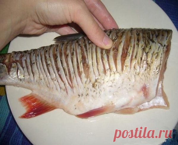 Как пожарить рыбу, чтобы в ней не было костей?

Как же получить жаренную рыбу без костей? Вы знаете такой маленький секрет жарки рыбы ? Теперь можете покупать рыбу и с мелкими костями - Вы их не почувствуете, а как это сделать?

Рецепт этот подойдёт для такой рыбки как подлещик, лещ, краснопёрка, душман, вобла и других рыб, которые имеют мелкие кости.
Итак, рыбку почистить, помыть, разрезать брюшко, вытащить внутренности, если есть икра, оставляем её. И конечно же ШИНКУЕМ!...