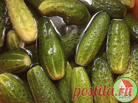 САМЫЙ ВКУСНЫЙ РЕЦЕПТ СОЛЕНЫХ ОГУРЧИКОВ, КОТОРЫМ ПОЬЗУЮСЬ УЖЕ 20 ЛЕТ!
Для тех, кто любит хрустящей и острое!!!
Я получила его, когда училась у деревенской бабушки- травницы, в глухой деревушке на Алтае. До того момента считала, что все огурцы ужасны в солении - мягкие, водянистые, невкусные. До сих пор, пробуя огурцы у всех, кто не знает этого рецепта, ни разу не ела вкусных!!!
Рецепт простейший, результат - супер!!! Секрет - соленая вода (колодезная или родниковая)!!!
Итак...