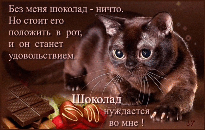 Красивые анимационные открытки с Днем шоколада. 11 июля.