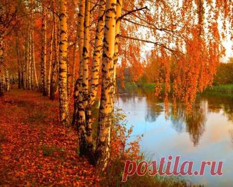 Мой Мир@Mail.Ru