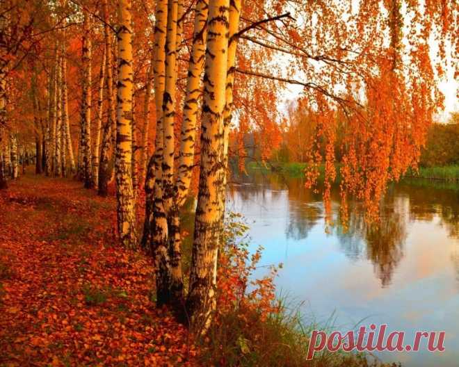 Мой Мир@Mail.Ru