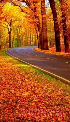 (166) Pinterest • Всемирный каталог идей