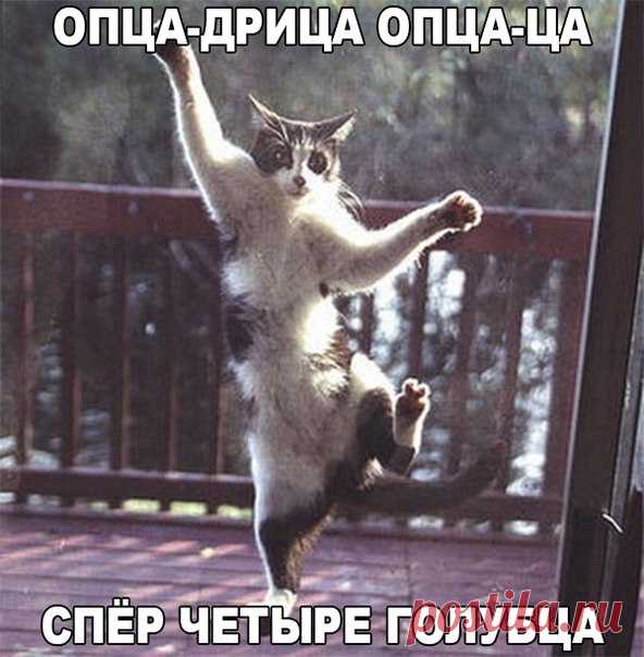 ПРИКОЛЫ | Смеяка