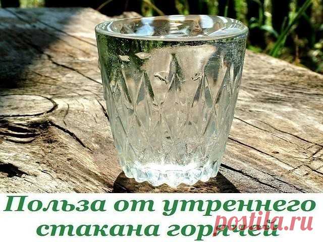 Польза от утреннего стакана горячей воды
Стакан чистой, теплой воды с утра, подготавливает наш желудочно-кишечный тракт к работе. Ночью на стенках ЖКТ оседают отходы пищеварения, токсины и шлаки. Горячая вода помогает нашему организму очиститься от всего лишнего. К тому же, с утра это усиливает слабительный эффект, что способствует естественному очищению.
Еще одной основной функцией воды является ускорение обменных процессов. Она способствует быстрому переносу кислорода и ...