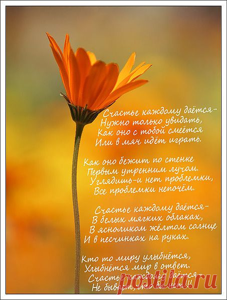 СЧАСТЬЕ ДАНО КАЖДОМУ...