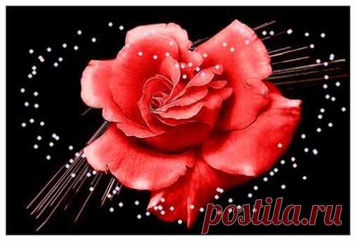 Google+