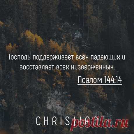 Господь поддерживает всех

#РХИТ #арт #христианские_картинки #Господь_поддерживает_всех