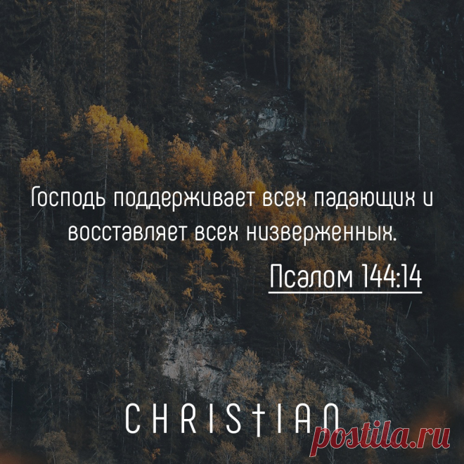 Господь поддерживает всех

#РХИТ #арт #христианские_картинки #Господь_поддерживает_всех