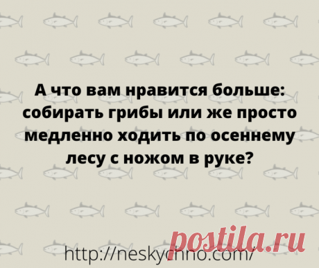 Подборка новых анекдотов для замечательного настроения