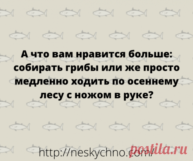 Подборка новых анекдотов для замечательного настроения