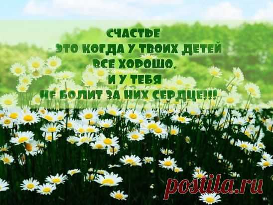(23) Одноклассники