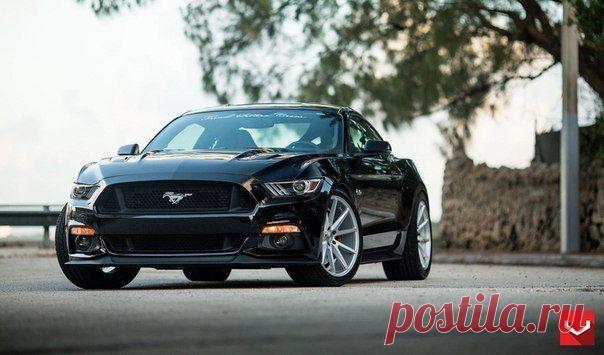 Ford Mustang GT / Только машины