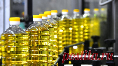 Диетолог развеяла миф о подсолнечном и оливковом маслах - ВФокусе Mail