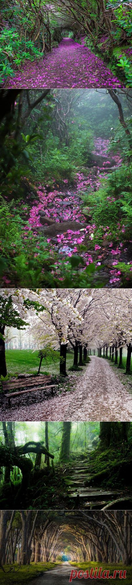 Завораживающие дорожки и тропы