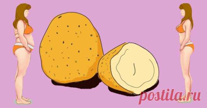 Более легкого и здорового способа похудеть не существует: крахмальная диета! - Сайт для женщин