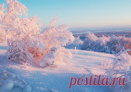 zimnyaya_priroda_zimoy_20.jpg (540×378)