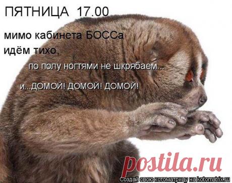 Интересные новости