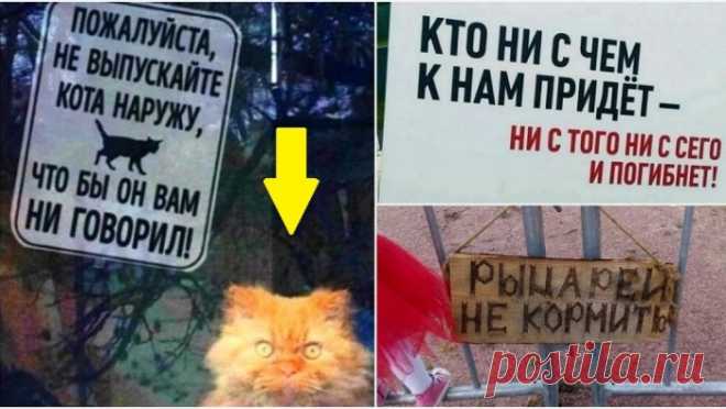 Идеи для жизни: дизайн интерьера и архитектура, авто-мото, гаджеты и технологии, мода и одежда, промышленный дизайн, графический и компьютерный дизайн.