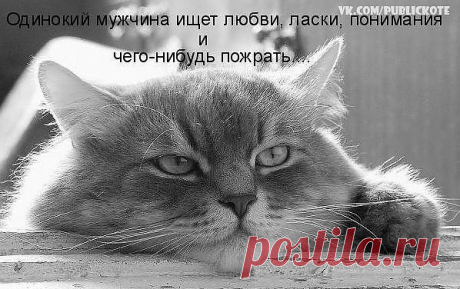 Одинокий мужчина ищет...