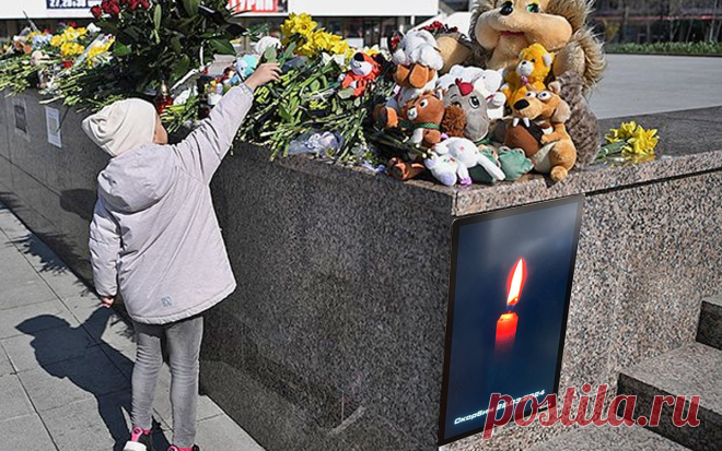 Страх, гнев, бессилие: как справиться с естественной реакцией на теракт в 