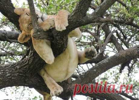 Мой Мир@Mail.Ru