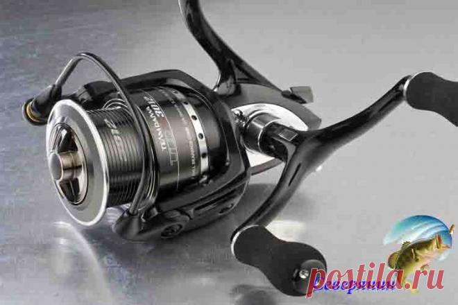 Катушки Дайва Рыболовные катушки фирмы Дайва пользуются значительным спросом во многих странах мира. Такая популярность объясняется тем, что фирма производит качественную продукцию с разным ценовым диапазоном и …