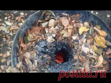 Осенняя утилизация листьев без дыма и запаха