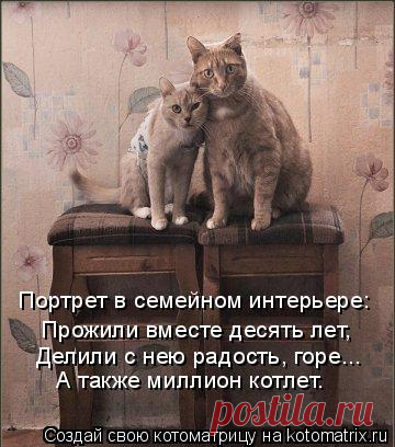 Котоматрица: Случайные котоматрицы