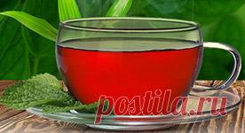 Монастырский сбор отца Георгия История монастырского сбора берет начало еще с древних времен. Впервые он появился в северных монастырях Древней Руси.
Позднее рецепт был позабыт и возрожден только в конце 20-го века известным травником, старцем-чудотворцем, настоятелем Свято-Духова монастыря Архимандритом Георгием.
Монастырский сбор оказался настолько животворящим, что за ним к отцу Георгию стали приезжать желающие исцеления со всех уголков бывшего Советского Союза. Этот сб...