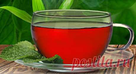 Монастырский сбор отца Георгия История монастырского сбора берет начало еще с древних времен. Впервые он появился в северных монастырях Древней Руси.
Позднее рецепт был позабыт и возрожден только в конце 20-го века известным травником, старцем-чудотворцем, настоятелем Свято-Духова монастыря Архимандритом Георгием.
Монастырский сбор оказался настолько животворящим, что за ним к отцу Георгию стали приезжать желающие исцеления со всех уголков бывшего Советского Союза. Этот сб...