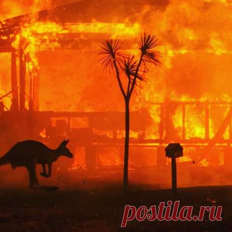 австралия катастрофа: 7 тыс изображений найдено в Яндекс.Картинках