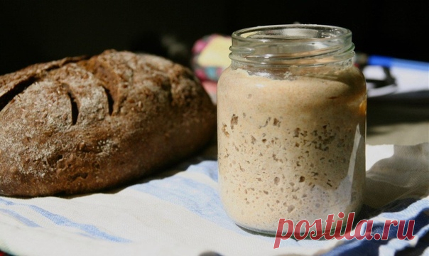 КАК ПРИГОТОВИТЬ ЗАКВАСКУ ДЛЯ ХЛЕБА И ВЫПЕЧКИ

#ВЪДИ #Исторiя #Человъкъ #Образованiе #Растенія #Питаніе #Книгi

Рецепты заквасок (ржаная, изюмная, кефирная, зерновая, хмелевая)

Выпечка хлеба – это всегда сакральное, таинственное действо. Секрет приготовления хлеба бережно хранился в каждой семье и передавался из поколения в поколение.
Русские хлебные закваски готовили из ржаной муки, соломы, ячменя, пшеницы, хмеля. В глухих деревеньках до сих пор можно найти рецепты пригот...