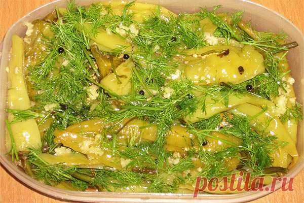 Маринованные перцы — Дачный участок
