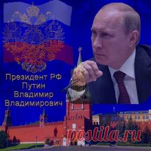 Обратиться к Президенту, когда других вариантов уже не осталось: все адреса и телефоны