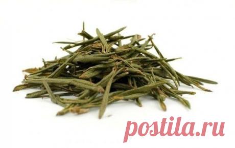 Чай против курения а так же для снижения аппетита Женский мир от А до Я | Женский журнал